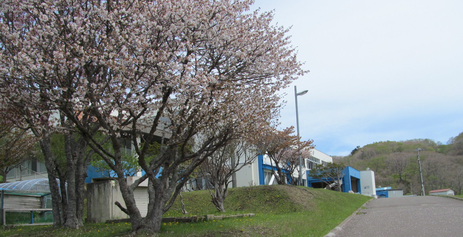 釧路町立昆布森中学校