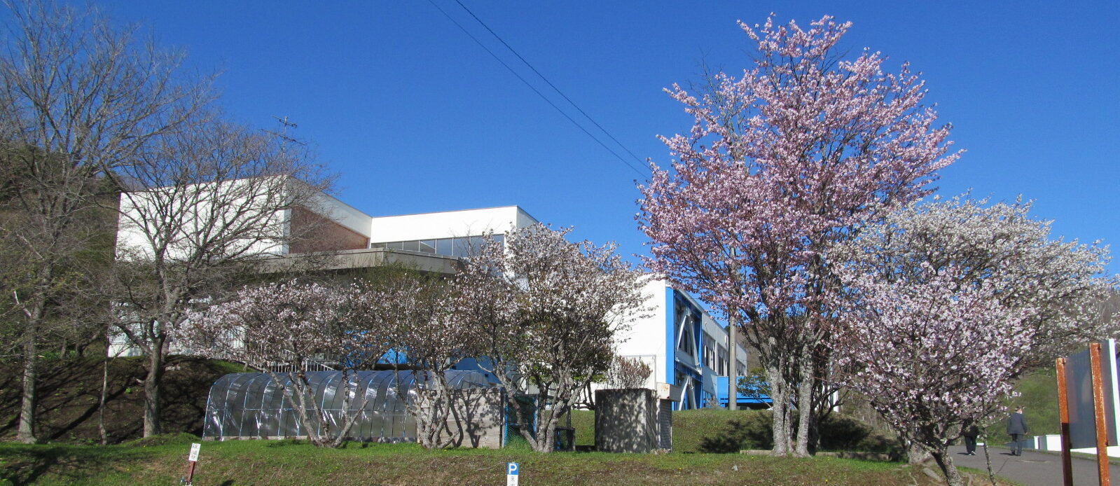 釧路町立昆布森中学校